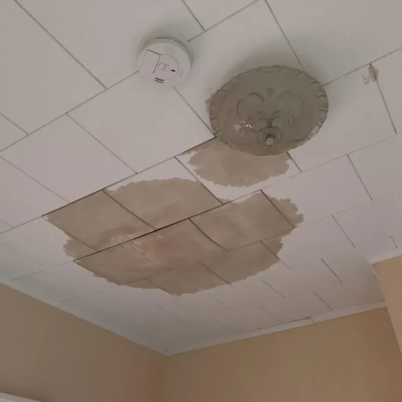 Ceiling Water Damage Repair in Westover, WV