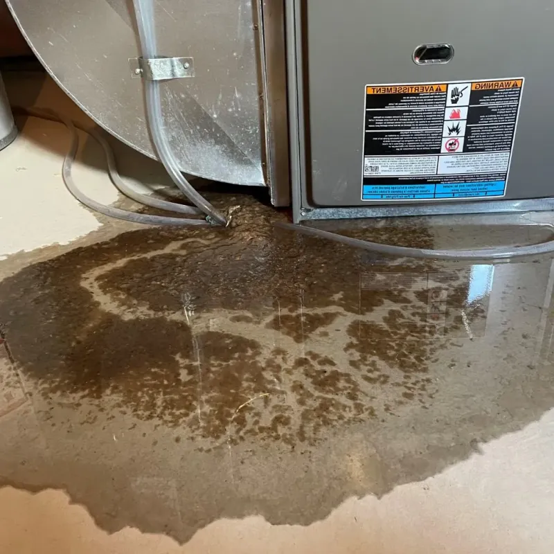 Pipe Burst and Leak Restoration in Westover, WV