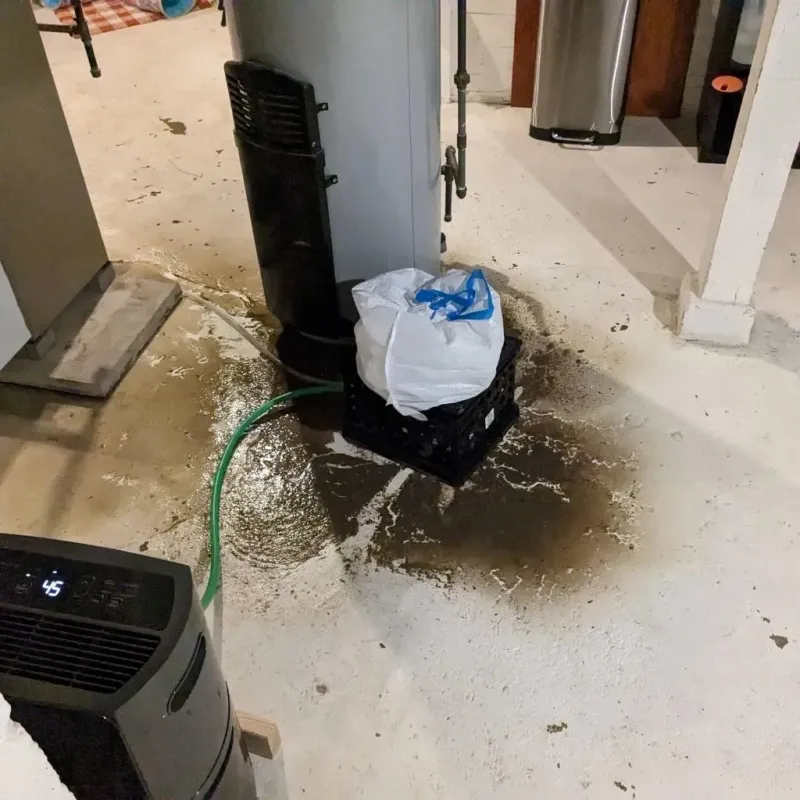 Sewage Backup Cleanup Service in Westover, WV